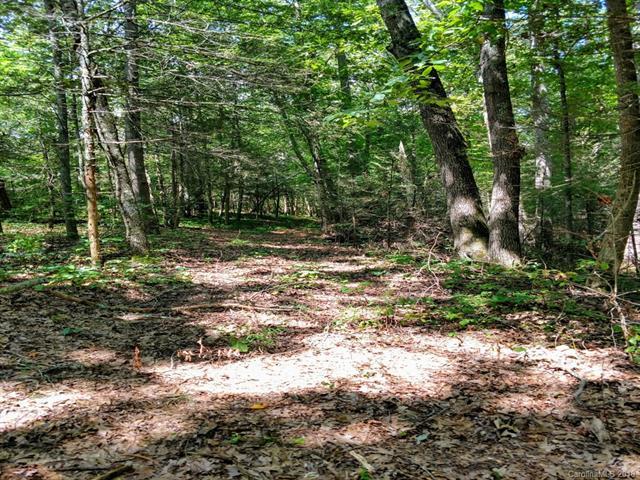Lot 13 River Bend Drive - Photo 1