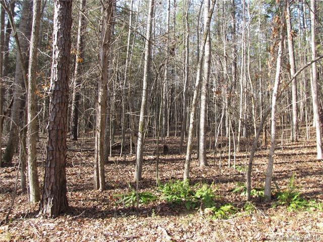 4850 Yellow Poplar Lane - Photo 1