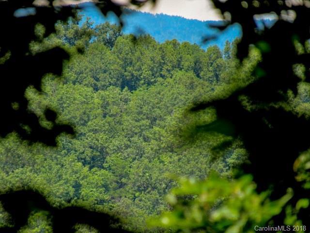 00 Catawba River Road - Photo 1