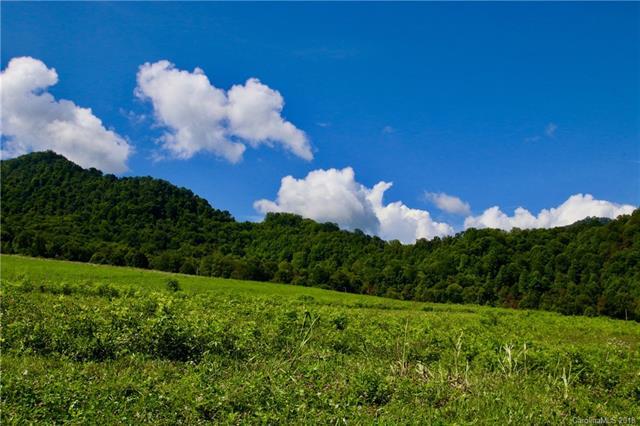 Off of Poplar Cove Road - Photo 1