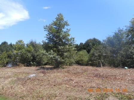 Lot 38 Taylor Circle - Photo 1