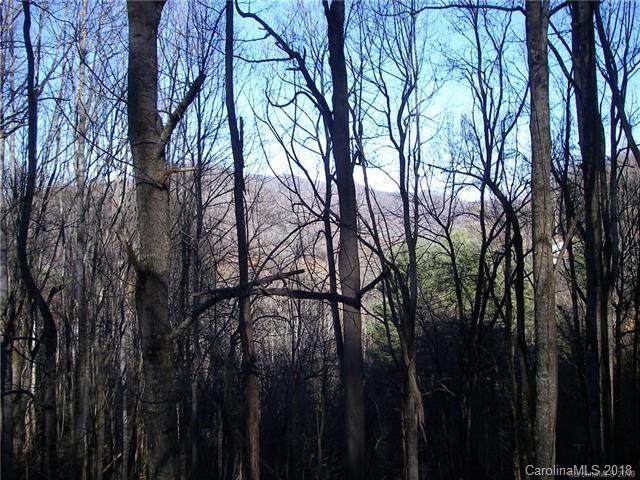 15 Spirit Mountain Trail - Photo 1