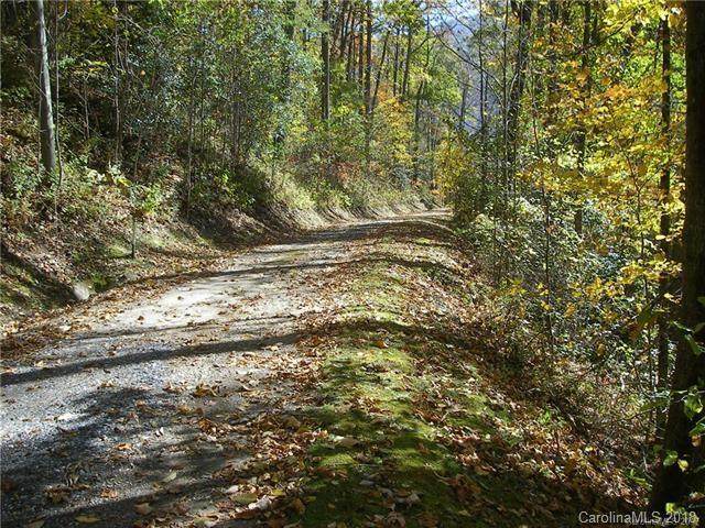 31 Fern Trail - Photo 1