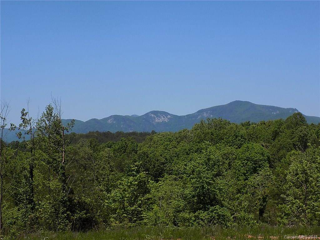00 Polk County Line Road - Photo 1