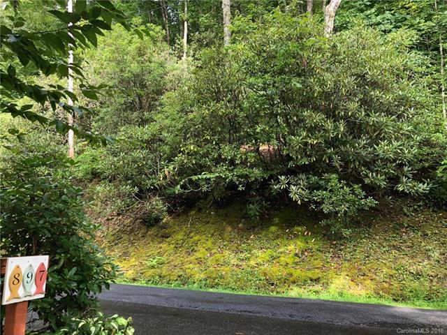 Lot 6 Woods Mountain Trail - Photo 1