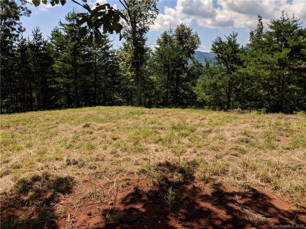 0 Mountain Parkway - Photo 1