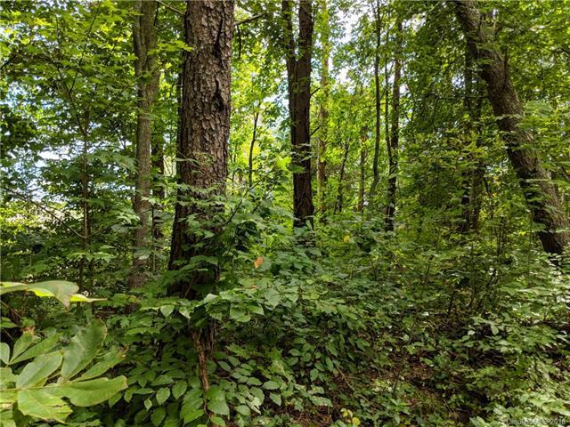 26 Rambling Creek Road - Photo 1