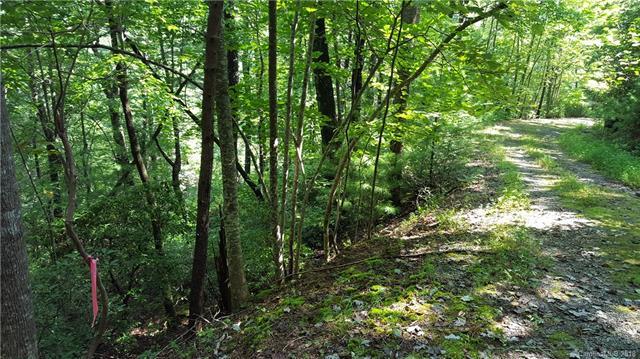 0 Falls View Trail - Photo 1