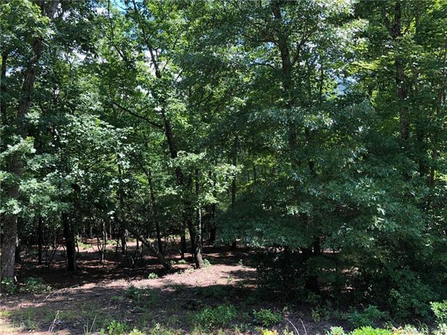 435 Walnut Valley Parkway - Photo 1