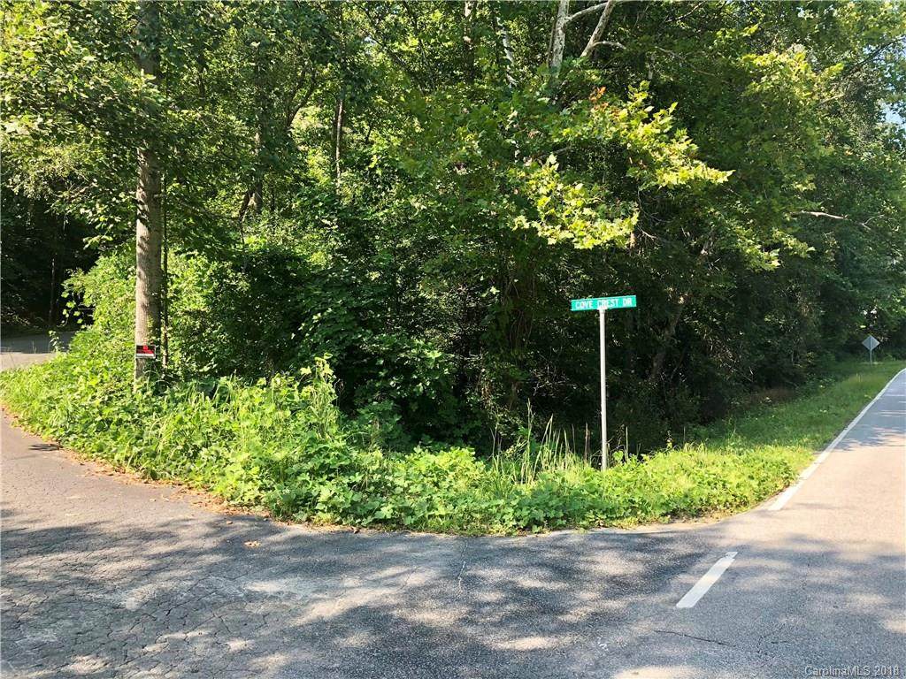0 Cove Crest Drive - Photo 1