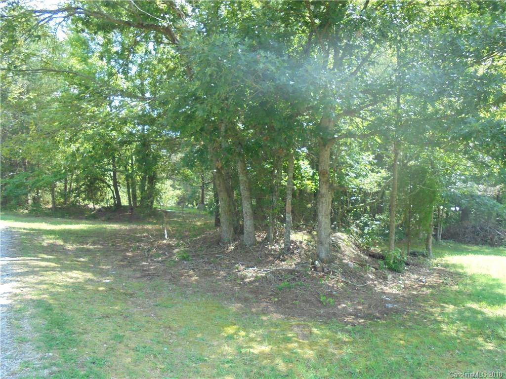 000 Mt Hope Church Road - Photo 1