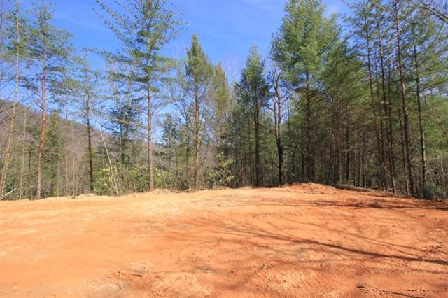 102 Acres Buffalo Mountain Road - Photo 1