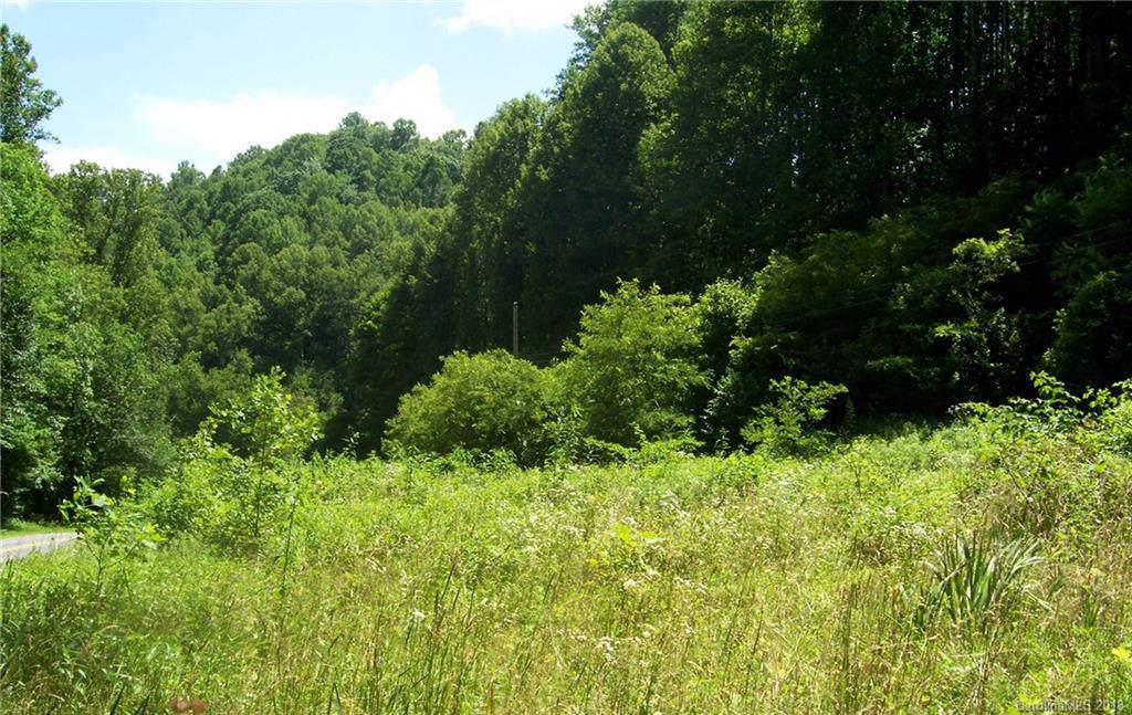 0 Patsy Creek Road - Photo 1