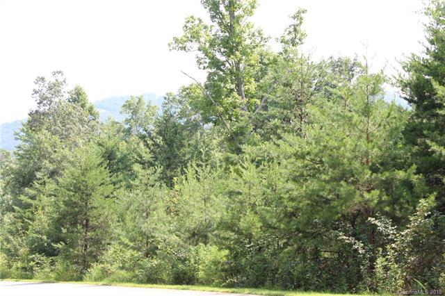Lot 11 Brookside Parkway - Photo 1