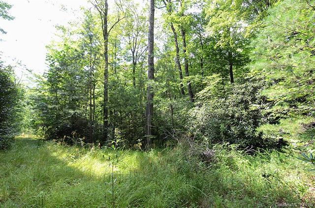 VL Linville Drive - Photo 1