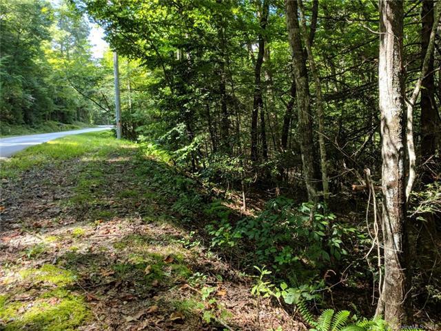 3048 Old Ccc Road - Photo 1