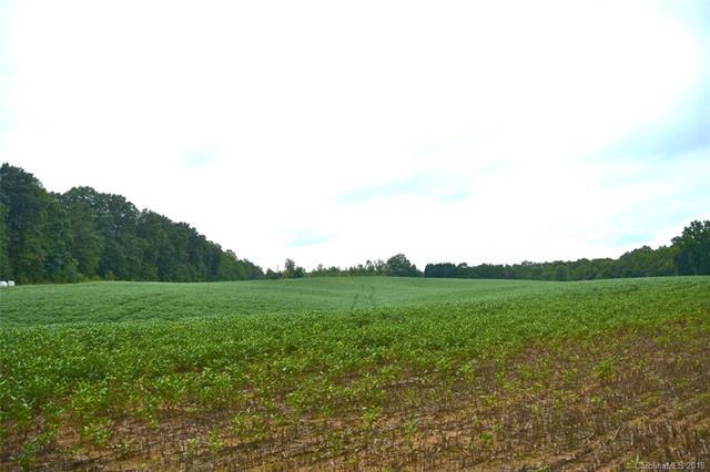 0000 Bridge Road - Photo 1