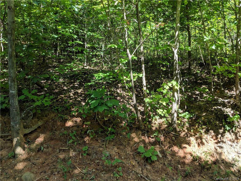 Lot 24 Bald Eagle Drive - Photo 1