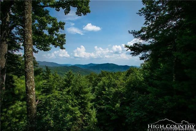 4665 Blowing Rock Boulevard - Photo 1