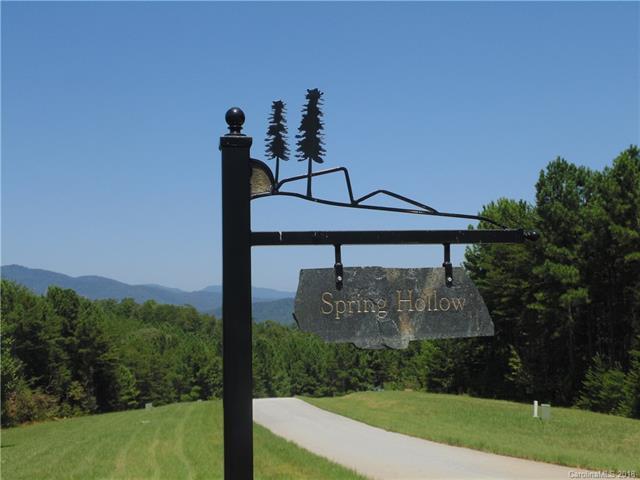 0 Spring Hollow - Photo 1