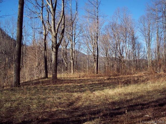 1011 South Fork Road - Photo 1