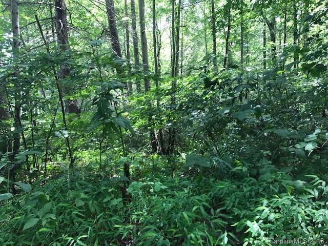 000 Backhollow Road - Photo 1