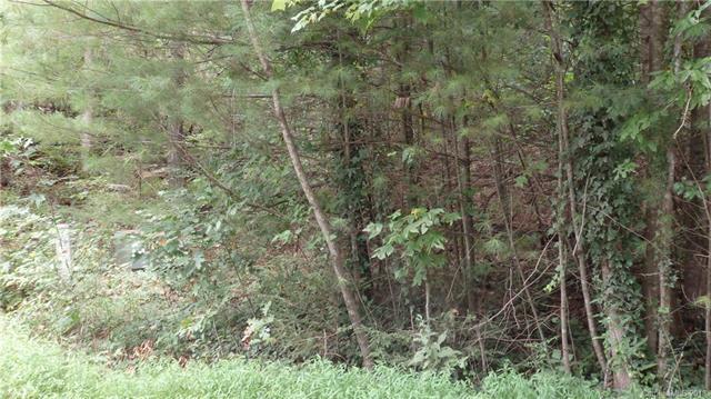Lot 19 Turkey Creek Court - Photo 1