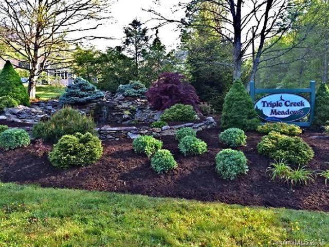 24 Buckeye Branch Drive - Photo 1