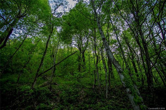 Lot9&10 Killdevil Hill - Photo 1