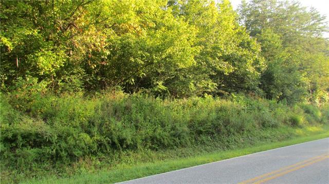 Beside 3235 Mt Olive Church Road - Photo 1