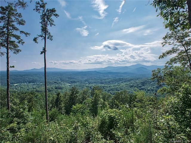 0 Bills Mountain Trail - Photo 1