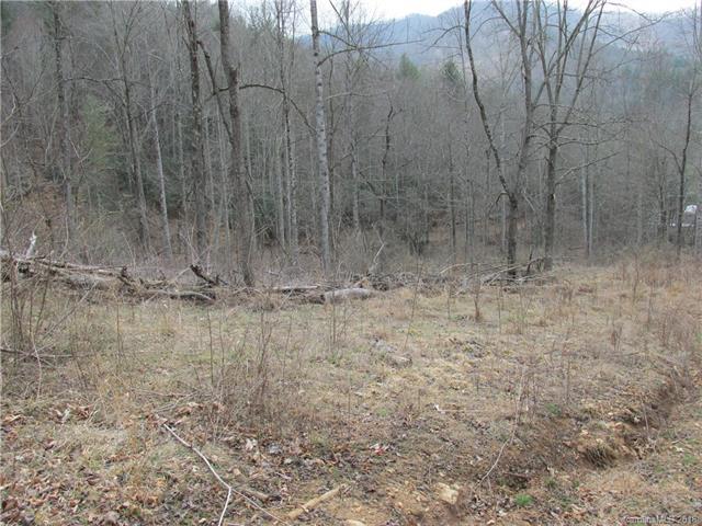 1333 Upper Pig Pen Road - Photo 1