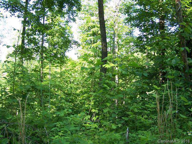 TBD Jacks Creek Road - Photo 1