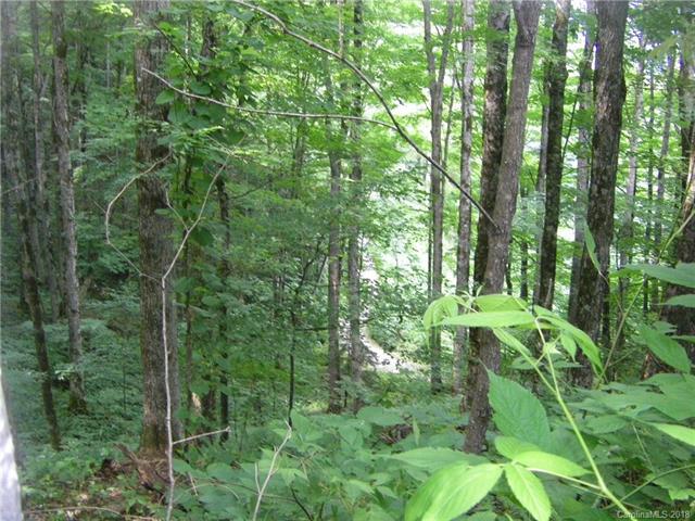 692 Ogles Gap Road - Photo 1