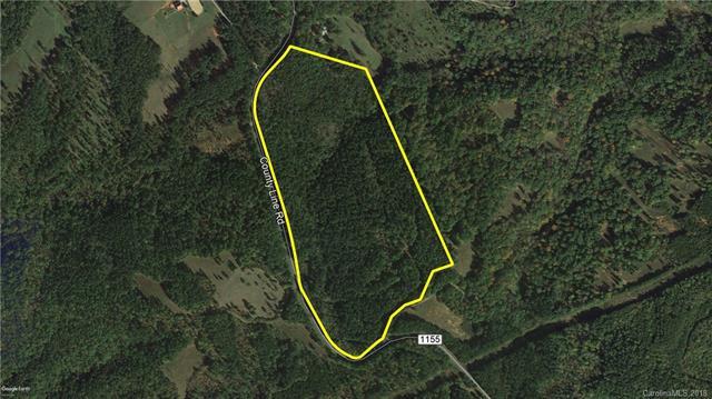 42.36 Ac County Line Road - Photo 1