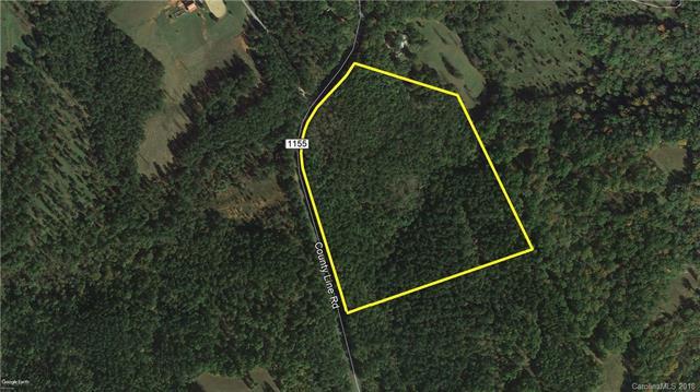21.18 Ac County Line Road - Photo 1