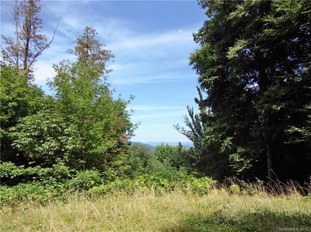 Lot 232 Tannehill Lane - Photo 1