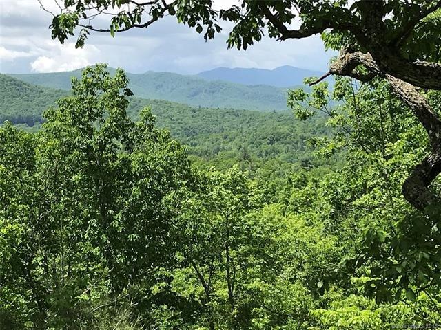 00 Murphy Branch Road - Photo 1