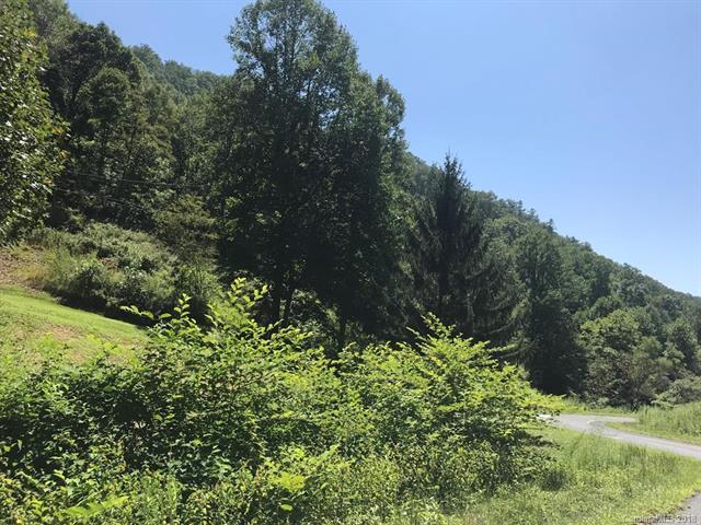 00 Renfro Road - Photo 1