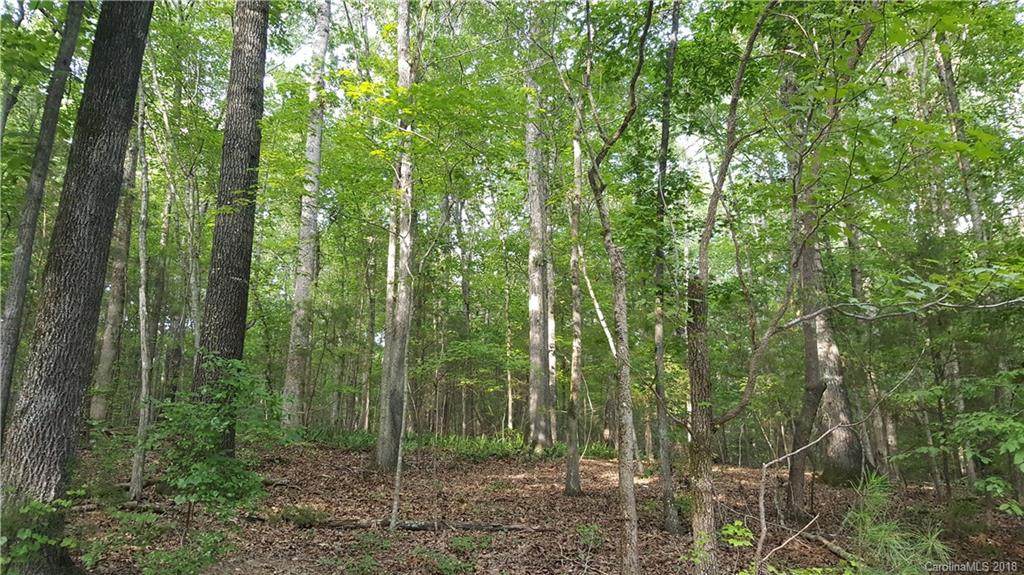 0000 Brook Road - Photo 1
