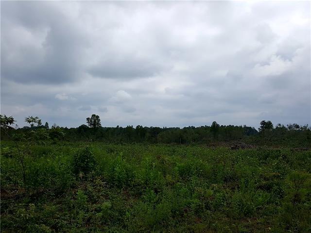1559 Hwy 16 Highway - Photo 1