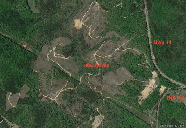 TBD Hwy 11 Highway - Photo 1