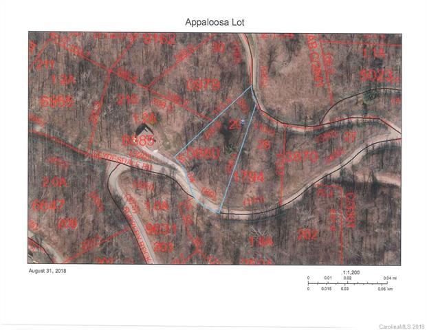 0 Appaloosa Trail - Photo 1