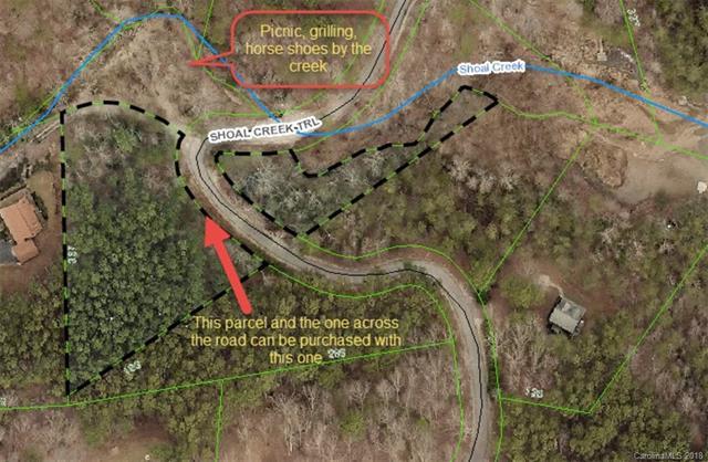 Lot40 Shoal Creek Trail - Photo 1