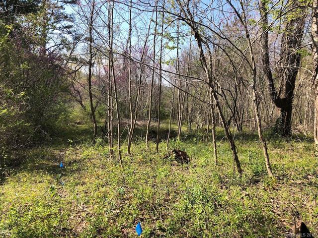 000 Elk Mountain Scenic Highway - Photo 1