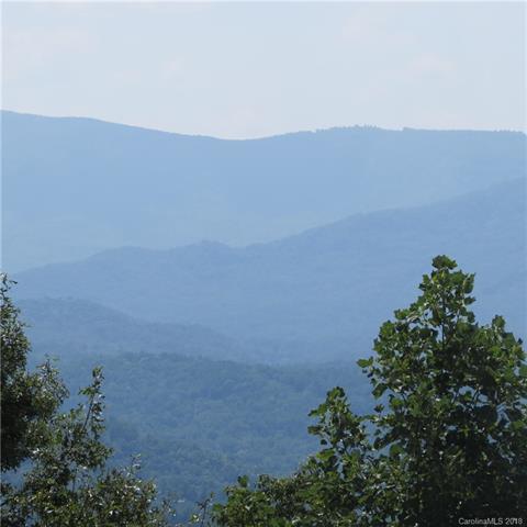 Lot 5 Bills Mountain Trail - Photo 1