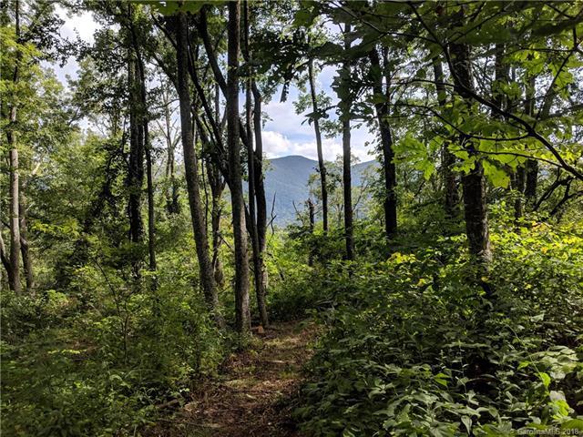 13+ Acres Elk Mountain Scenic Highway - Photo 1