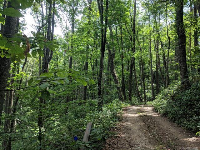 14+ Acres Elk Mountain Scenic Highway - Photo 1