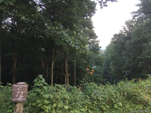 TBD Eagles Nest Trail - Photo 1