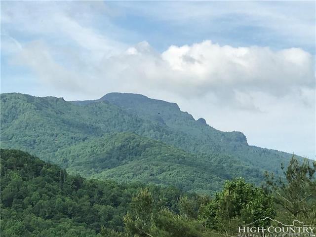 272 Clarks Creek Road - Photo 1